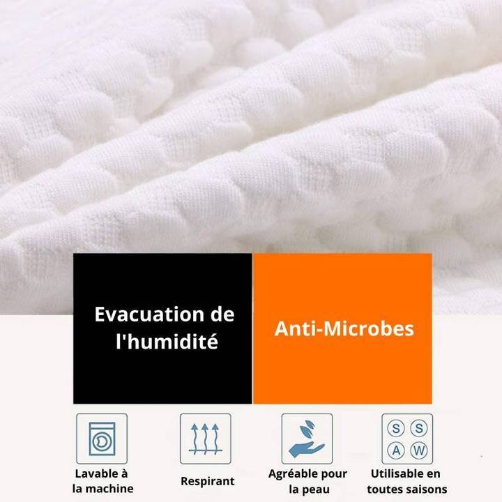 Oreiller Cervical + Housse de Remplacement